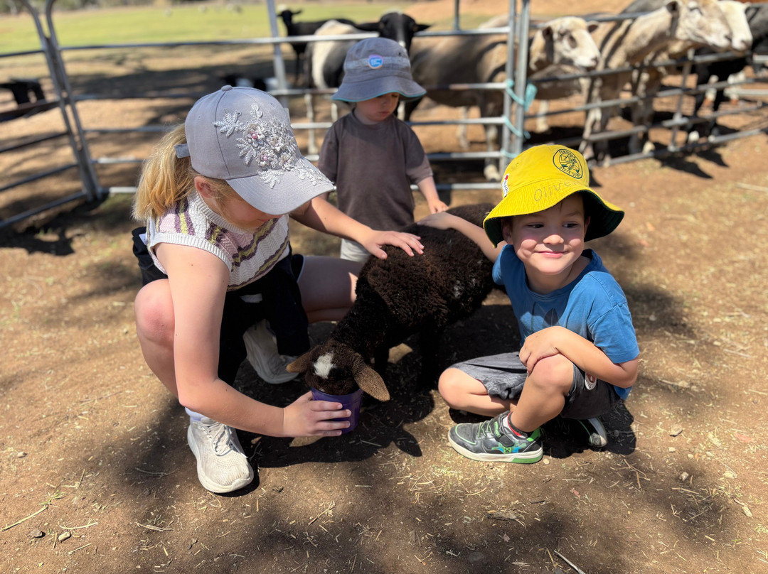 EWE Nique Hobby Farm Haigslea-Haigslea必去景点