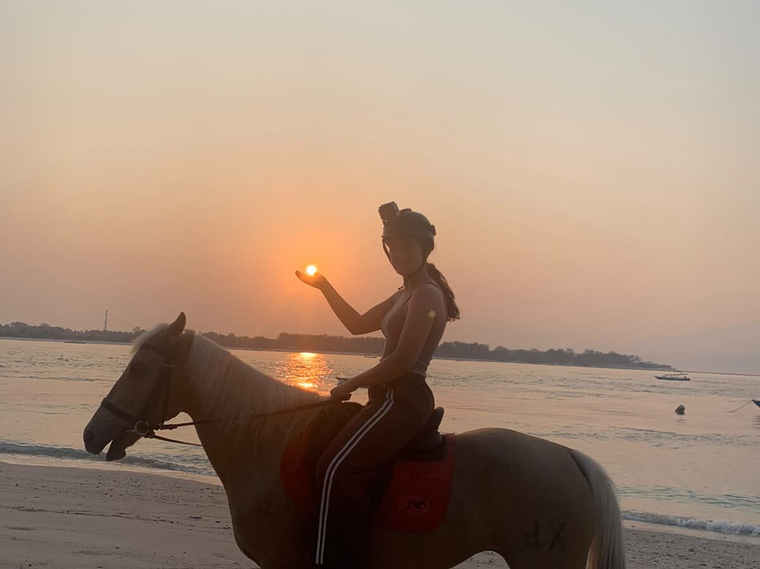 Stud Horse Riding and Rescue-吉利特拉万安必去景点