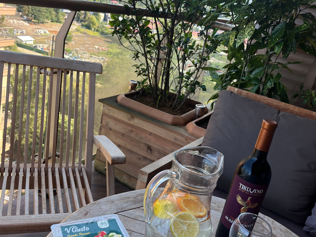 梦想之地绿洲酒店主图
