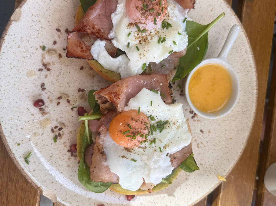 Jungle Brunch
