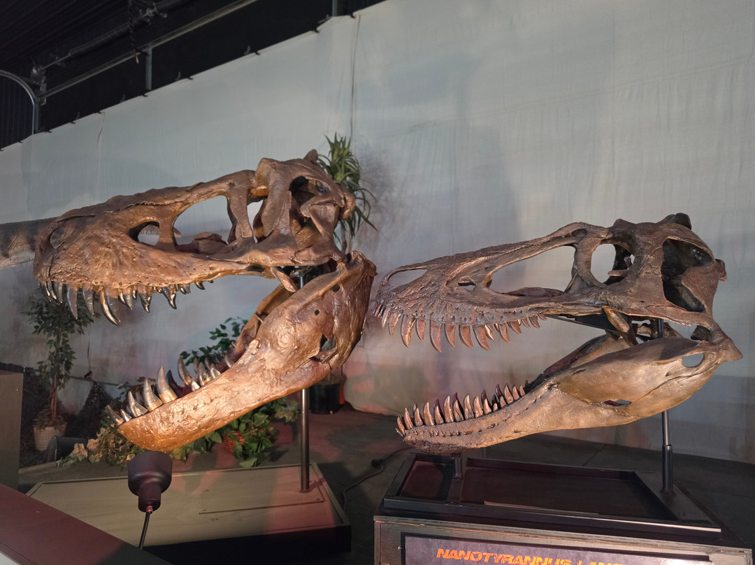 Dinosaurs Of The Hell Creek Museum