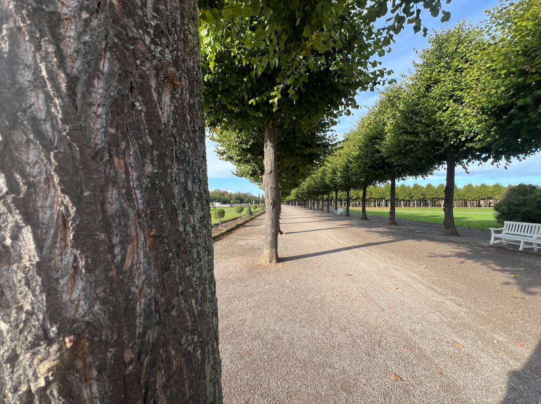 Schwetzingen Palace-施韦青根必去景点