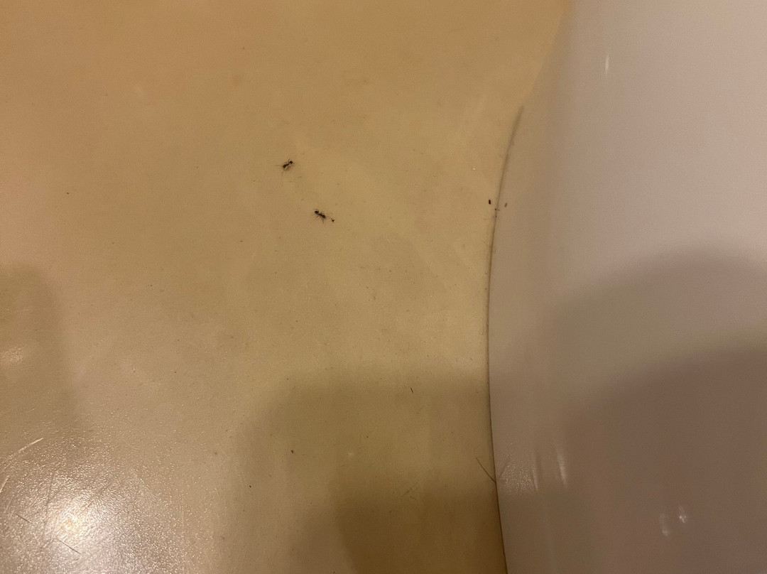 安圭拉豪宅海滩度假村主图