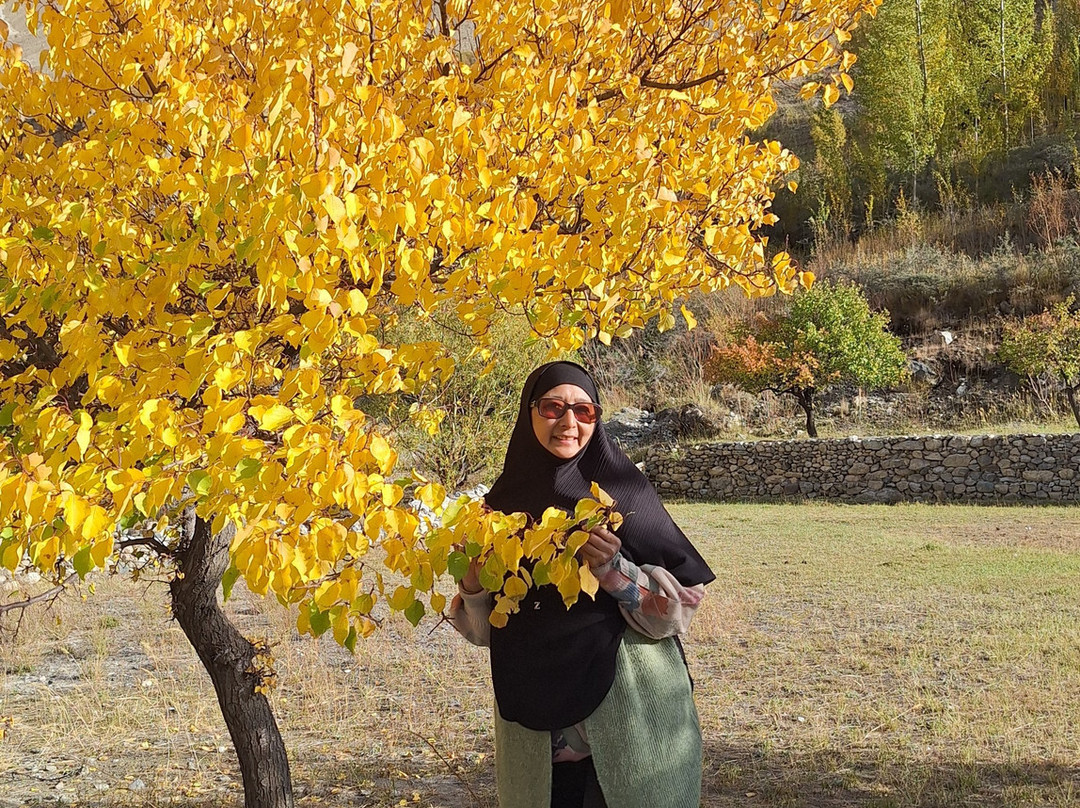Ultimate Adventure Tours Pakistan-Gilgit必去景点