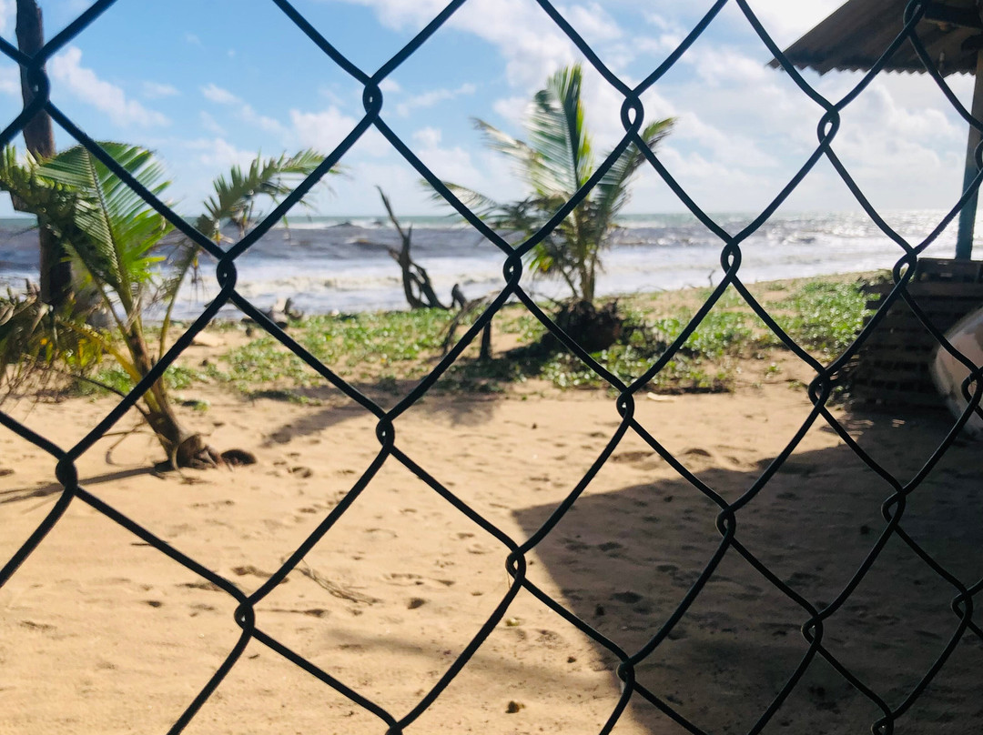 Sea Turtle Farm Galle Mahamodara-加勒必去景点