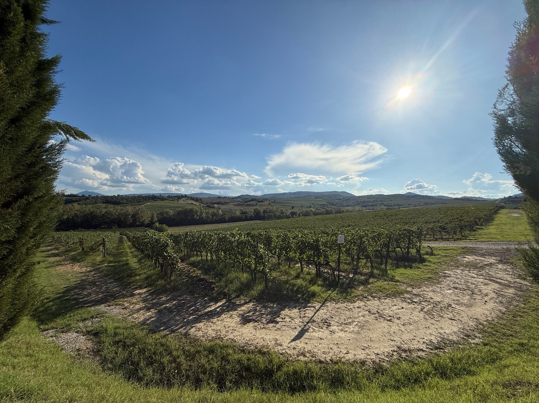 Tenuta Golo - Luxury Vineyard Suites in Montepulciano主图