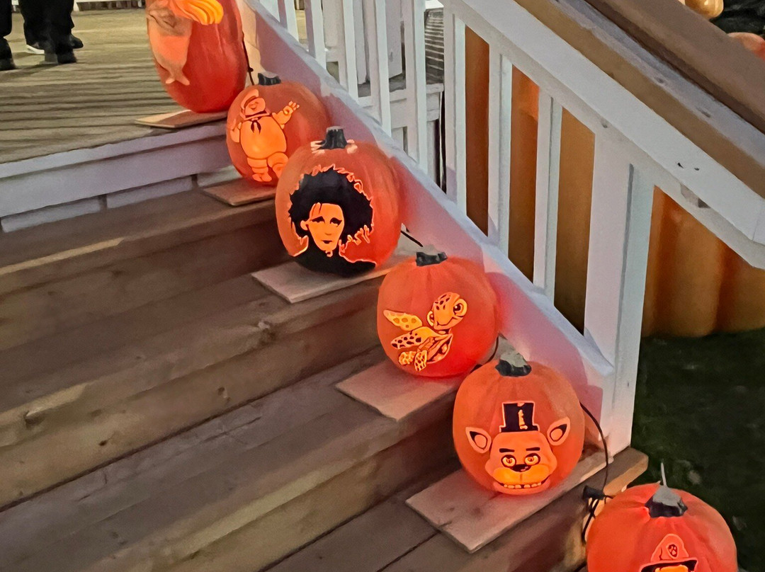 Pumpkins after dark-万锦市必去景点