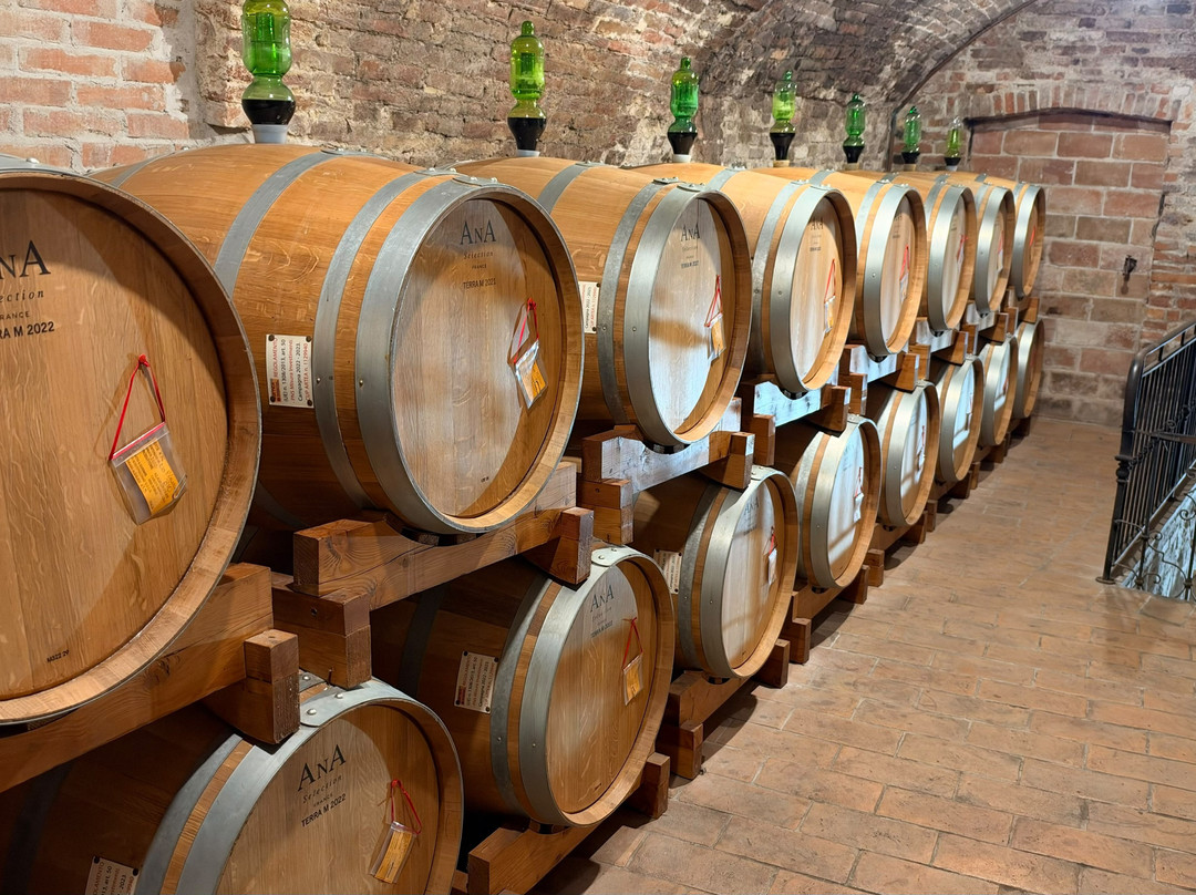 Azienda Agricola Ercolani-蒙特普尔恰诺必去景点