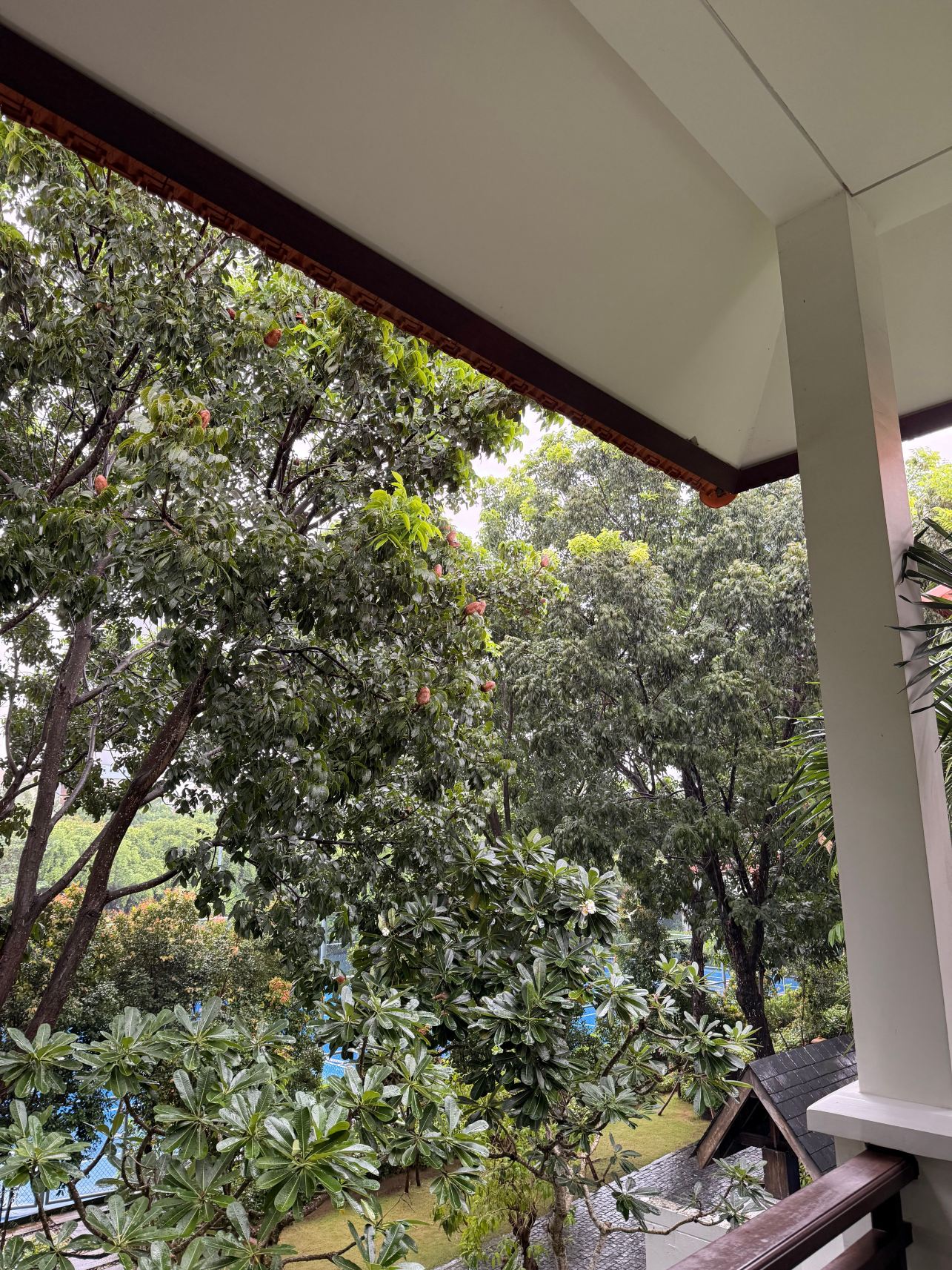 岘港富丽华别墅酒店-旅行者