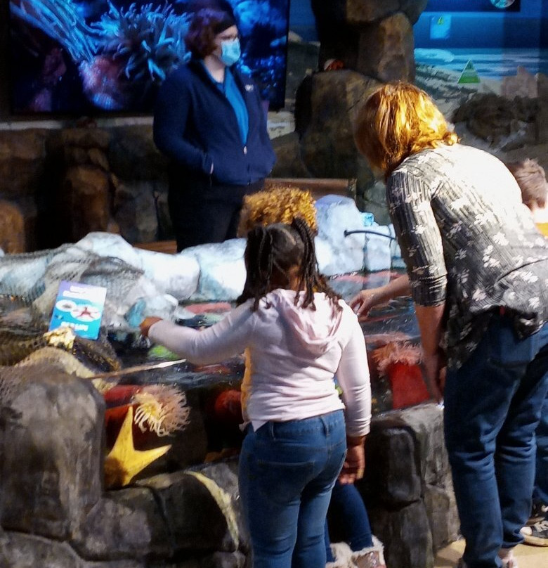 SEA LIFE Michigan Aquarium-奥本山必去景点