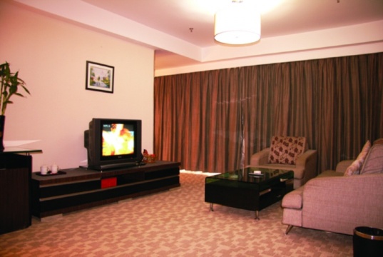 碧翠轩大酒店-客卧