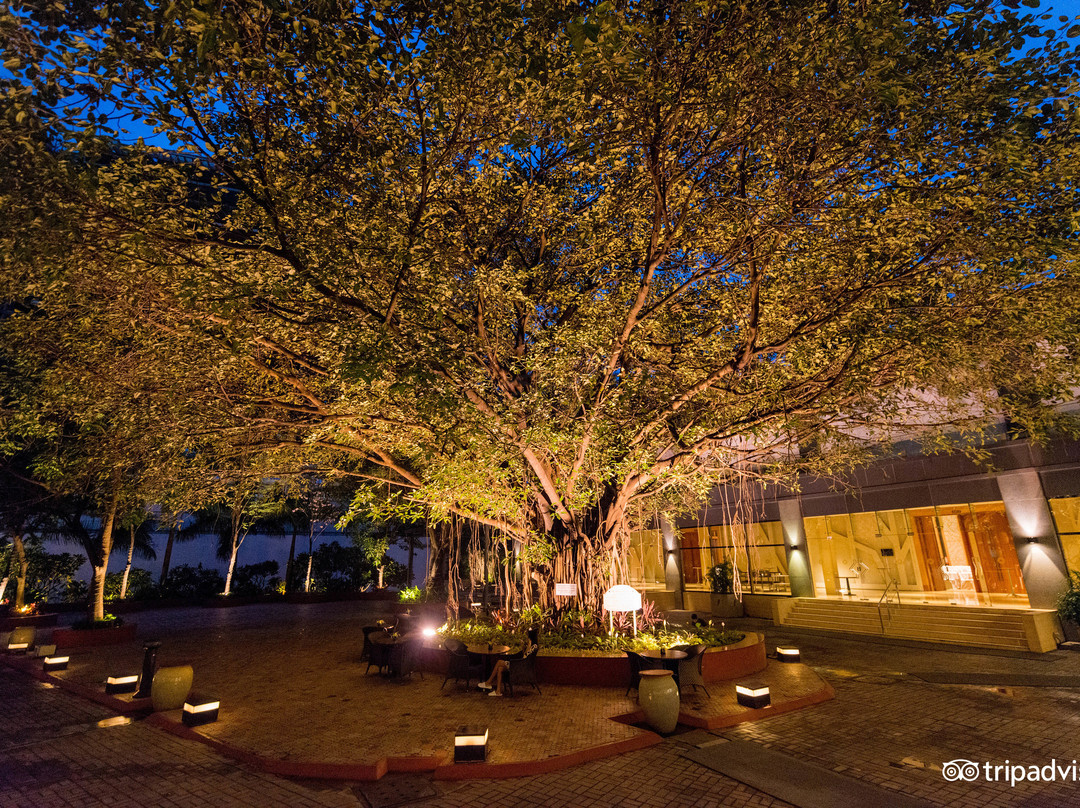 威万达椰丝湾特普酒店