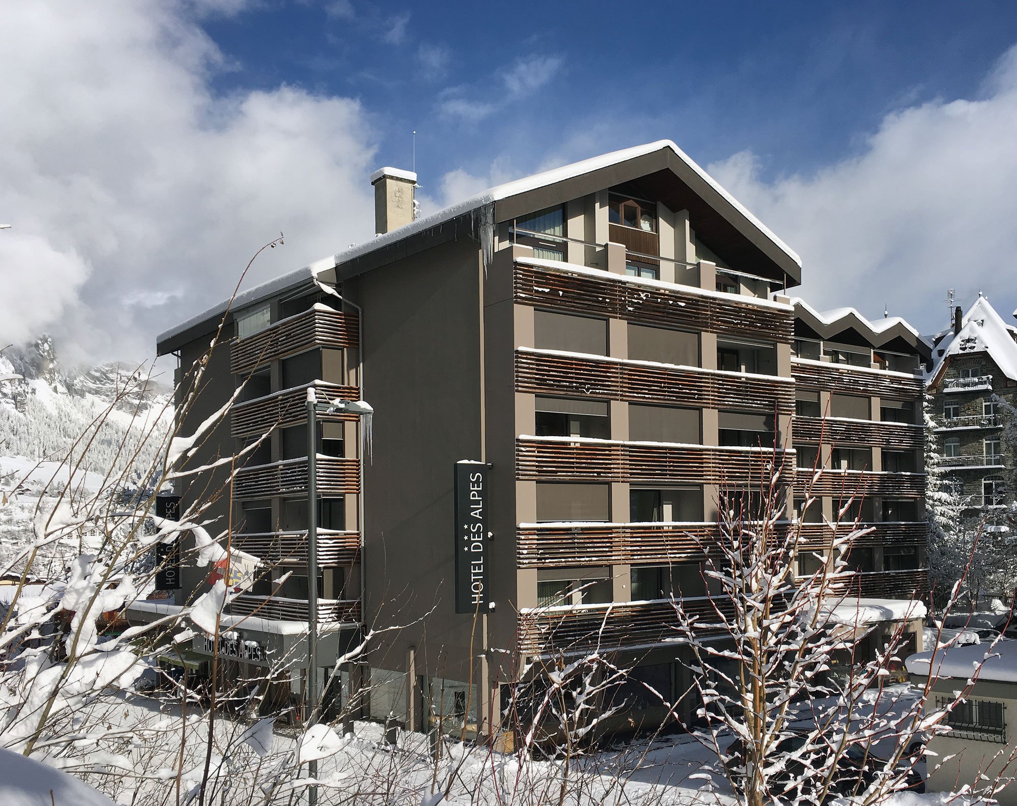 Hotel des Alpes-官方