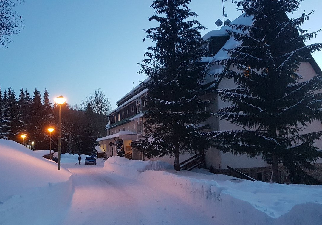 铁矿镇酒店住宿-Hotel Engadin