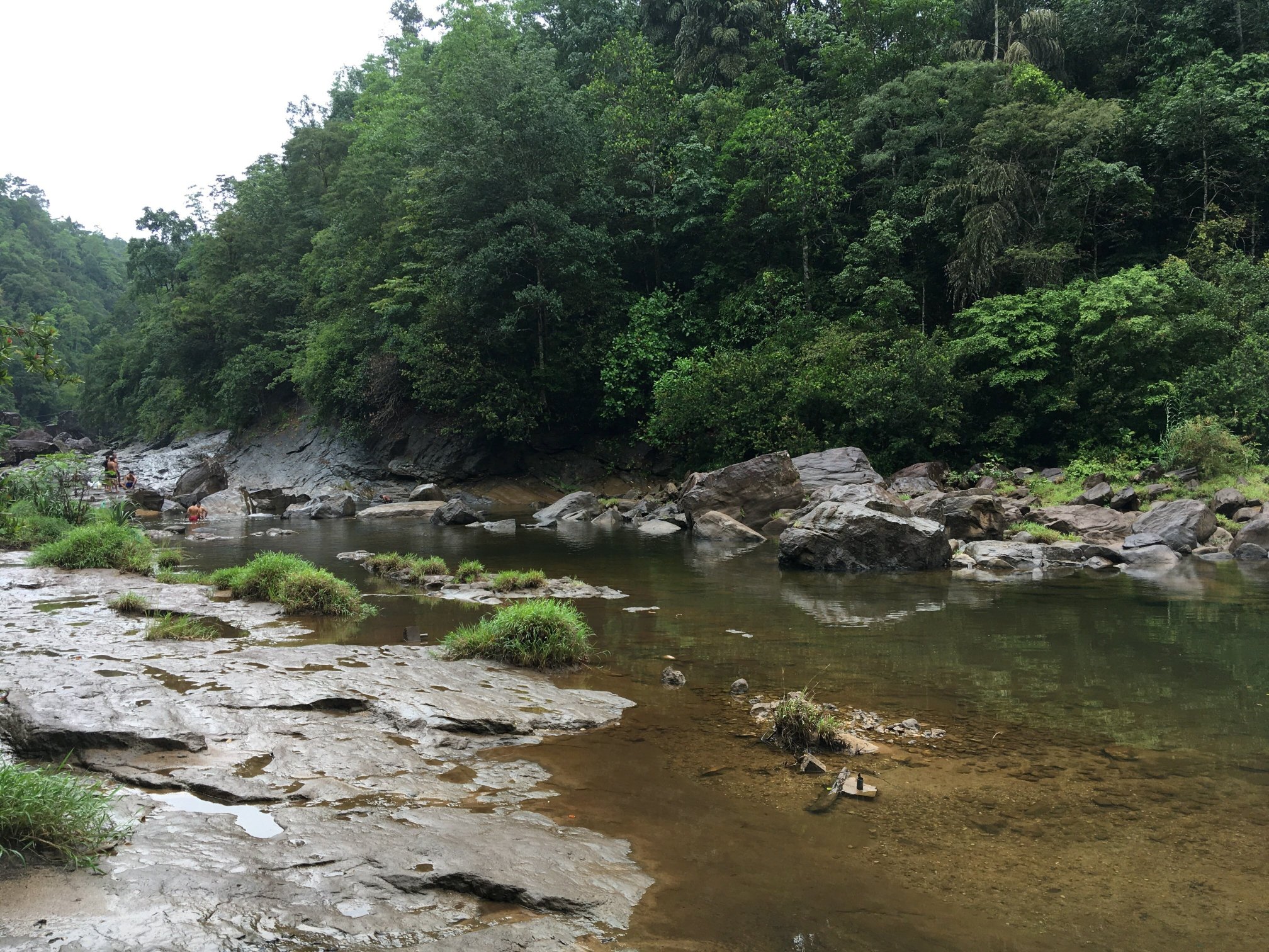 Forest Shade Eco Resort-官方