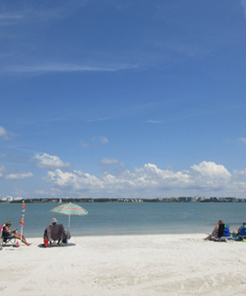 Bay Park On Sand Key景点门票图片