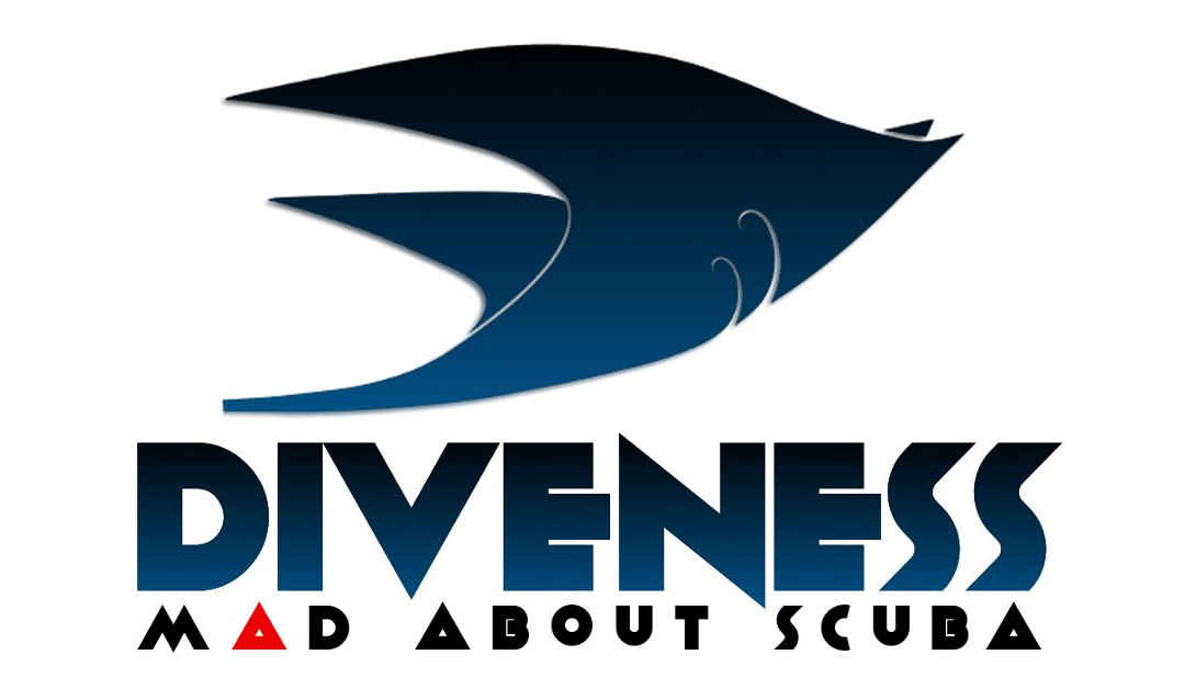 Diveness SCUBA Dive Center景点图片