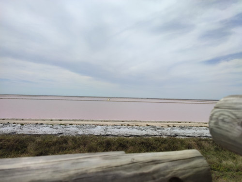 Salt Pan Observation Mound-Salin de Giraud必去景点