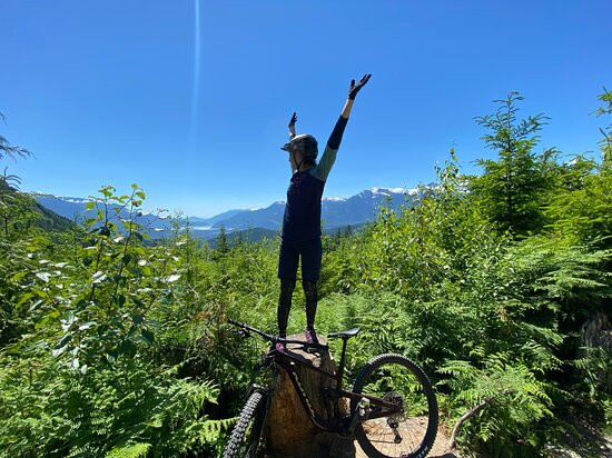 Dialed In Cycling景点图片