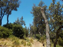 Kananook Creek Reserve-锡福德必去景点