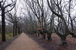 Nature Reserve de Manteling-Oostkapelle必去景点