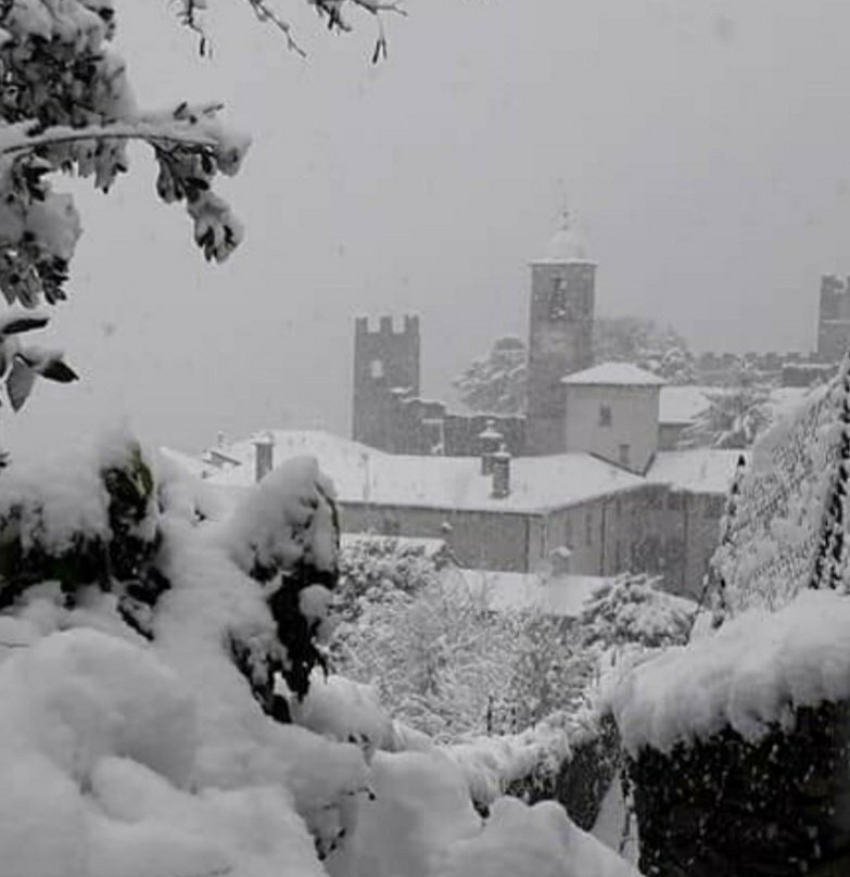 Castello di Corenno Plinio-Dervio必去景点