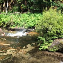 Kerosene Creek景点图片
