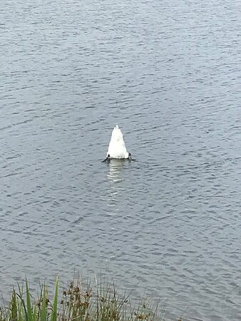 Queen Elizabeth II Country Park-Ashington必去景点