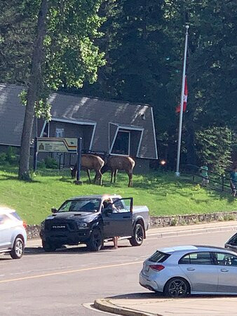 The Suites At Waskesiu主图