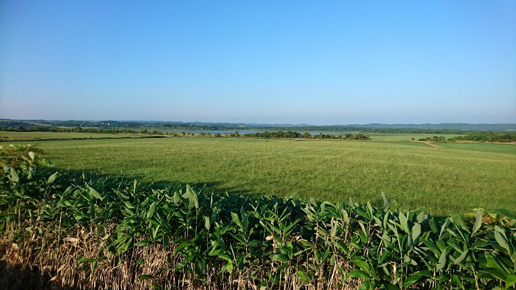 Kototoi no Matsu-丰富町必去景点