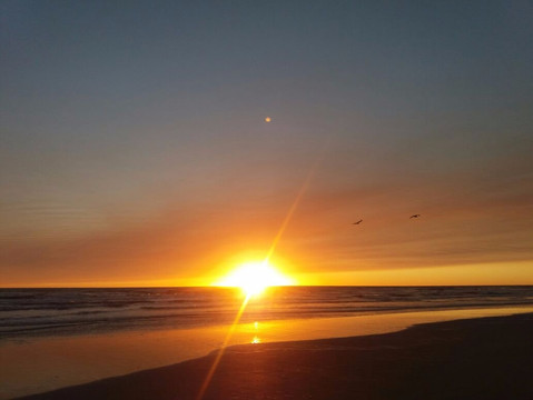 Las Toninas酒店住宿-Petit Hotel