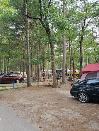 Traverse City State Park景点图片