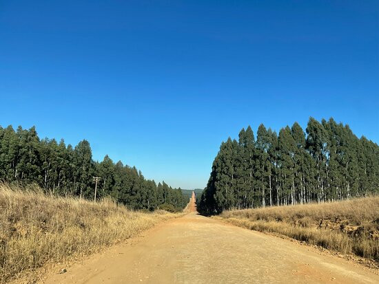 Emahlathini Guest Farm主图