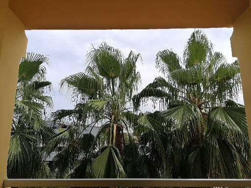 Hotel Vittoria主图