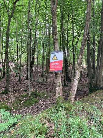 Forest of Dean Sculpture Trail景点图片