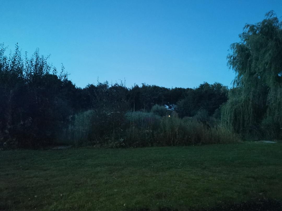 Hanworth Country Park景点图片