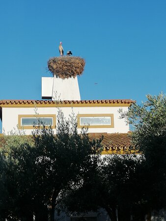 Vila Galé Alentejo Vineyards-官方