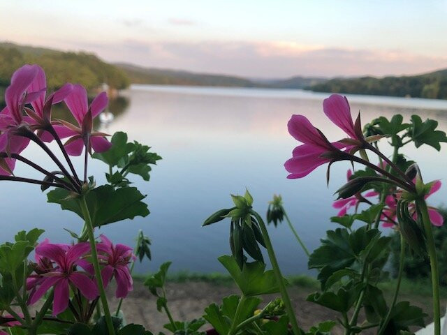 Les Terrasses du Lac
