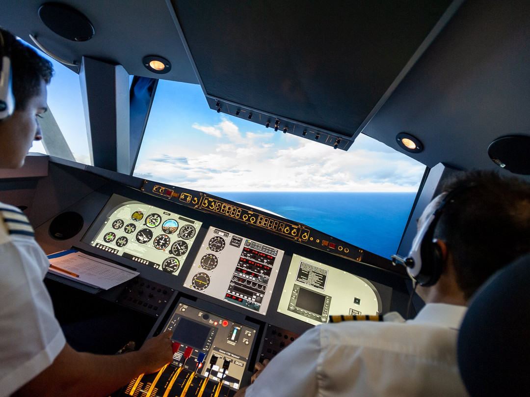 Virtual Pilot