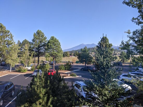 小美酒店弗拉格斯塔夫主图