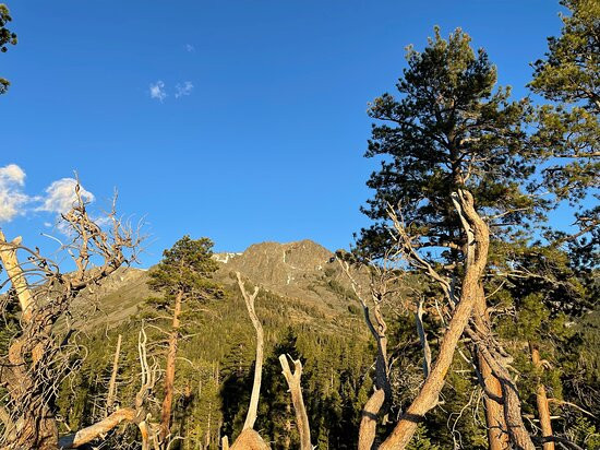 Mount Tallac/Glen Alpine Trail景点图片