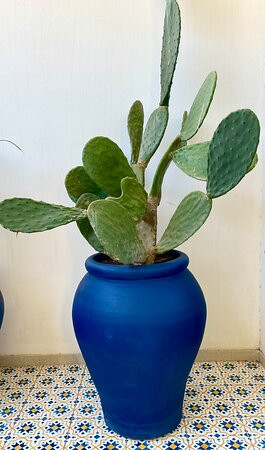 Maison De Trazegnies Marina Di Ragusa主图