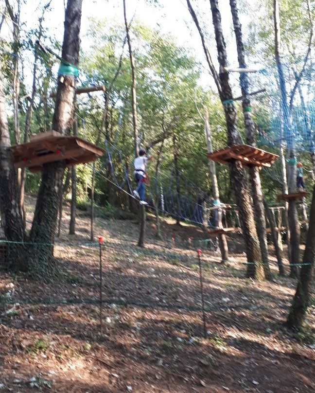 Veja Adventure Park景点图片