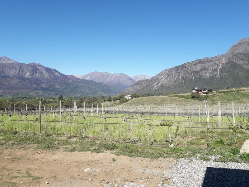 Bodega Y Viñedos Ayestarán Allard景点图片