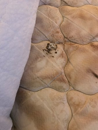 Radiance Inn And Suites主图