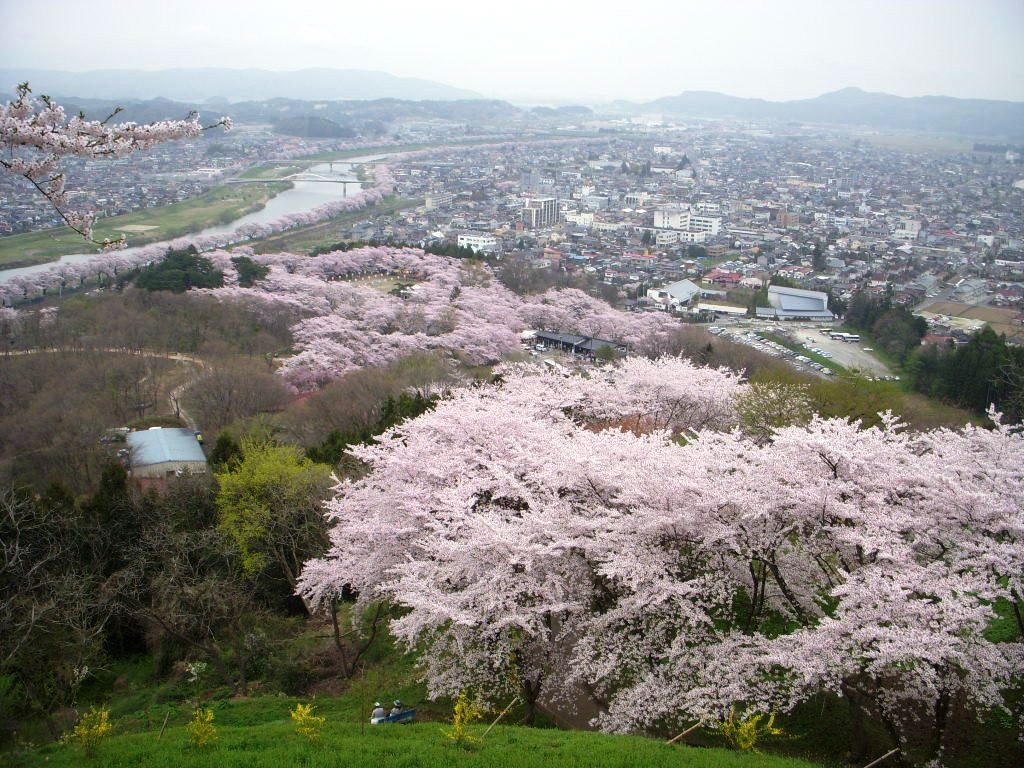 柴田町旅游攻略图片