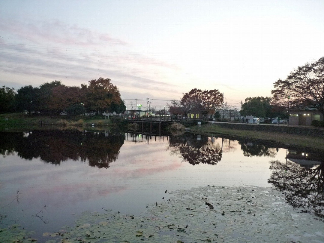 莲田市旅游攻略图片