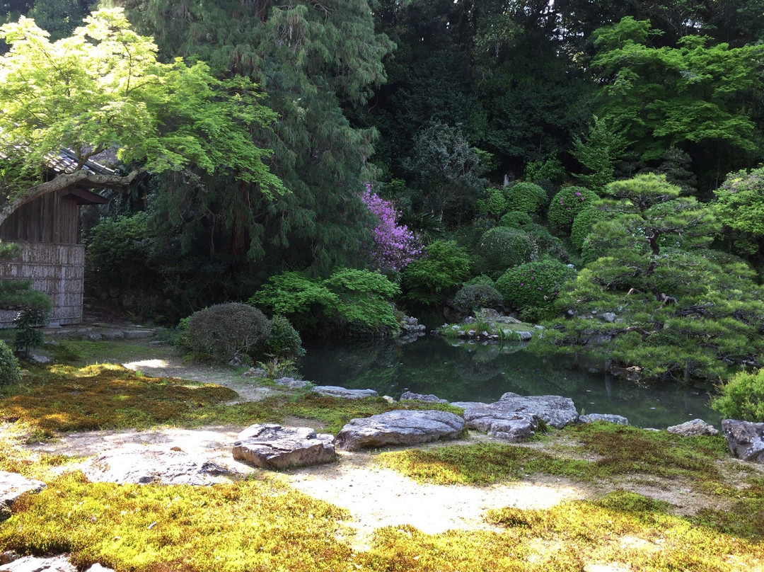 湖西市旅游攻略图片