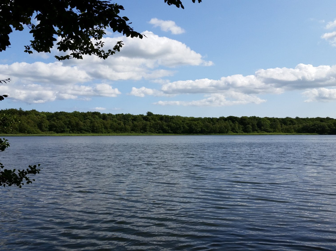Gyllebo lake景点图片