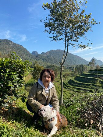 英德茶叶世界-英德市必去景点